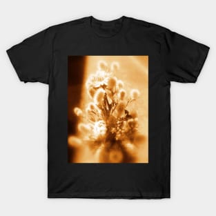 wildflower bouquet, amber T-Shirt